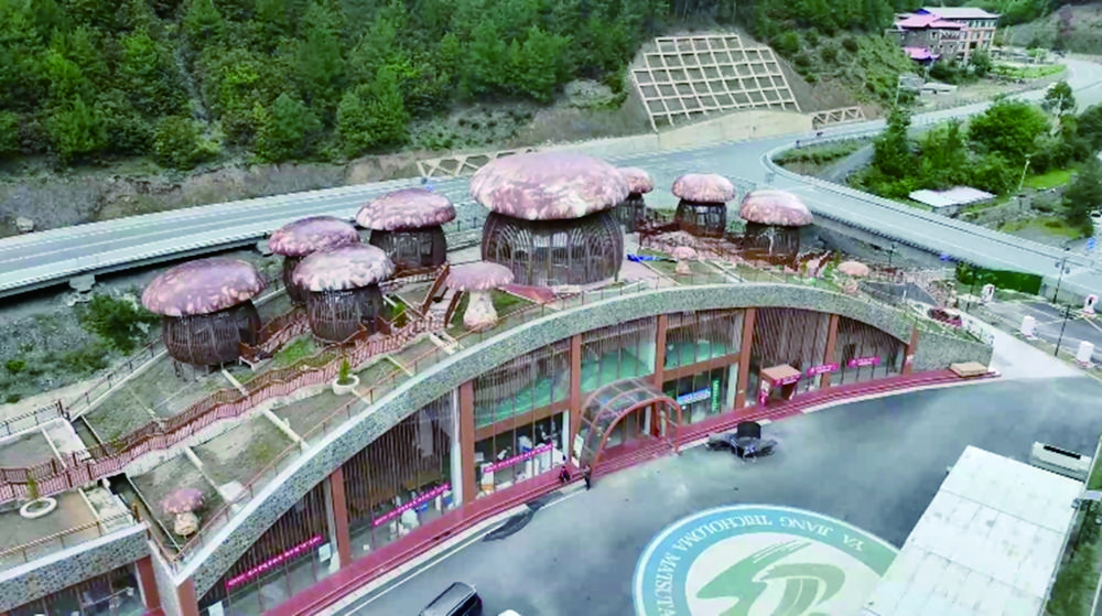 浙川携手平台打造“寻鲜雅江”之旅  松茸为媒串起农文旅新链条