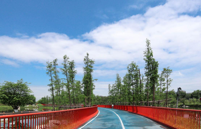 城市漫步丨神仙日子何处寻？锦城公园给你答案