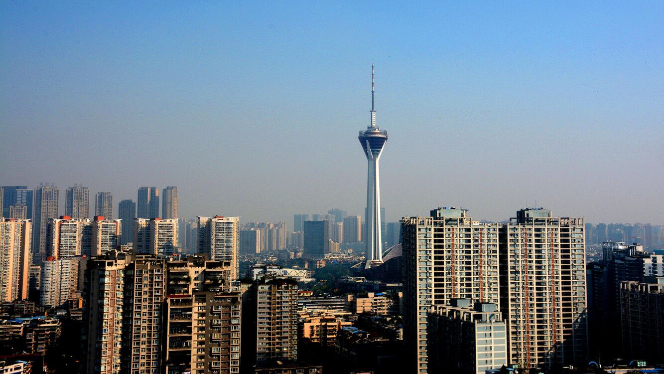 热议丨加大对短视频侵权惩治力度、加强影视创作中对动物的保护……代表委员正在关注→