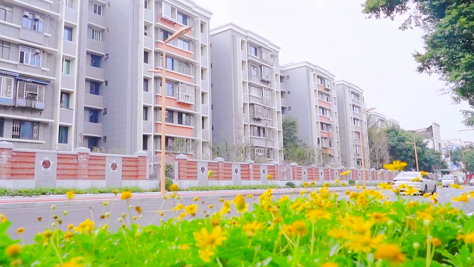 两会关键词 | “城园相融” 无界之美