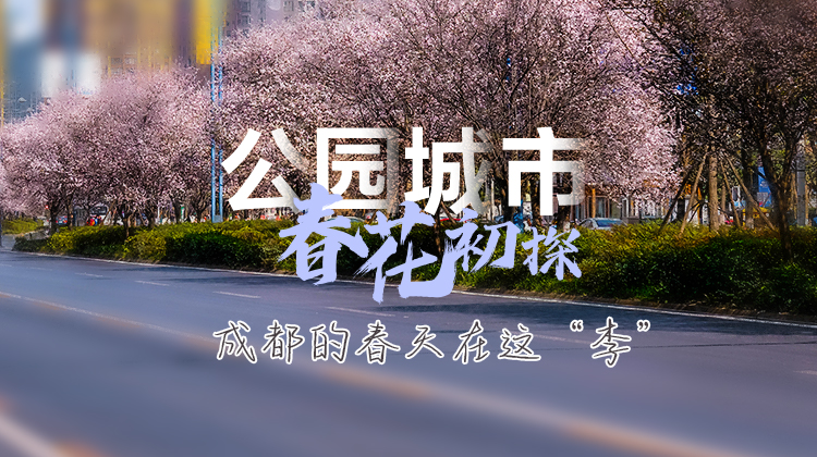 公园城市 春花初探丨成都的春天在这“李”