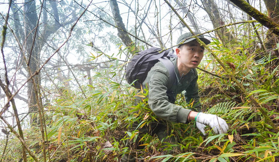 靠山② | 深入成都无人区 打开野生动物的影像“盲盒”