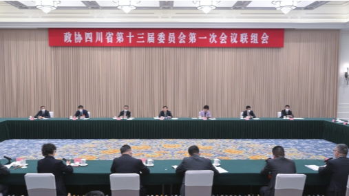王晓晖在省政协十三届一次会议联组会上指出：聚焦构建现代化产业体系献计出力，更好助推新时代新征程四川现代化建设