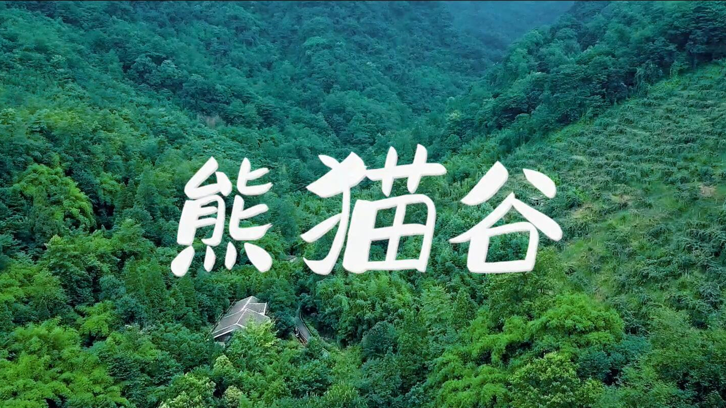 春节特辑｜春节去哪儿？熊猫谷野趣非凡