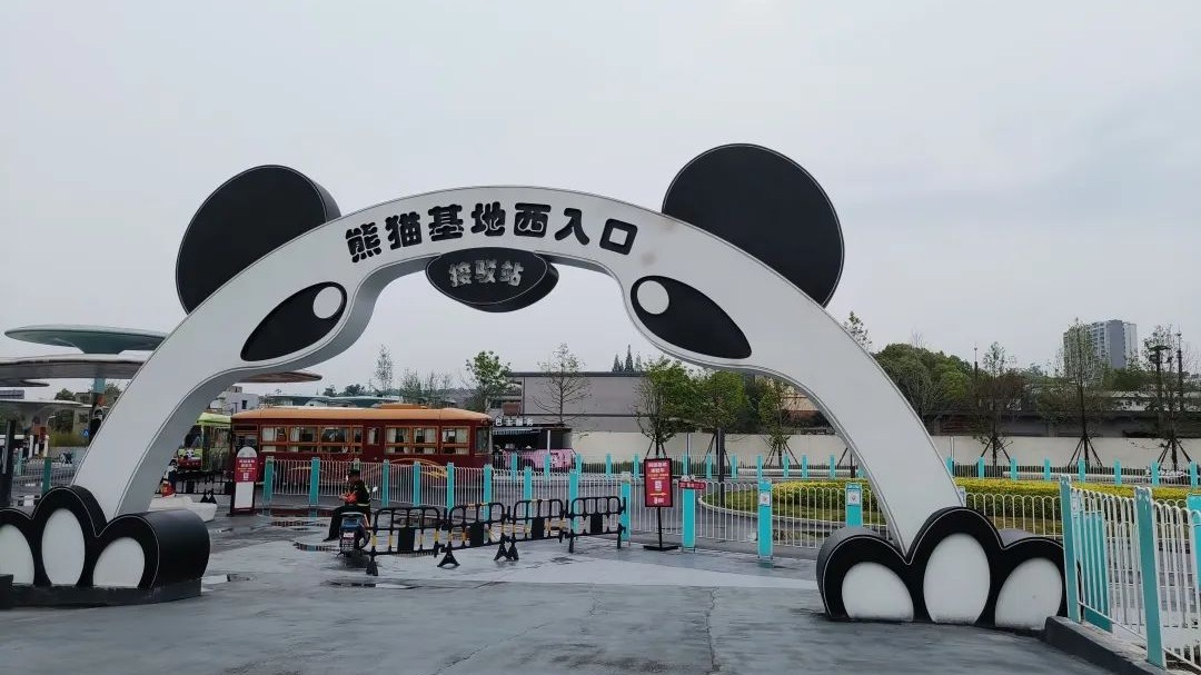五一想去看大熊猫？这样走 可以避开“人从众”