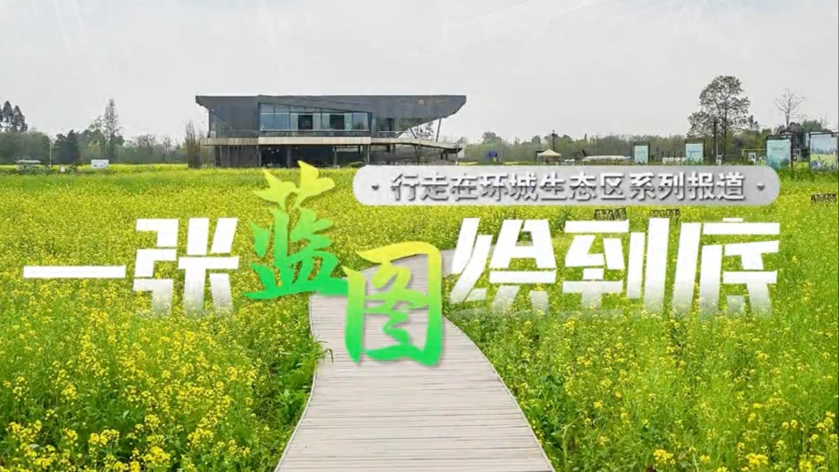 行走在环城生态区②丨成都的包容 让宠物们的幸福指数“不摆了”！