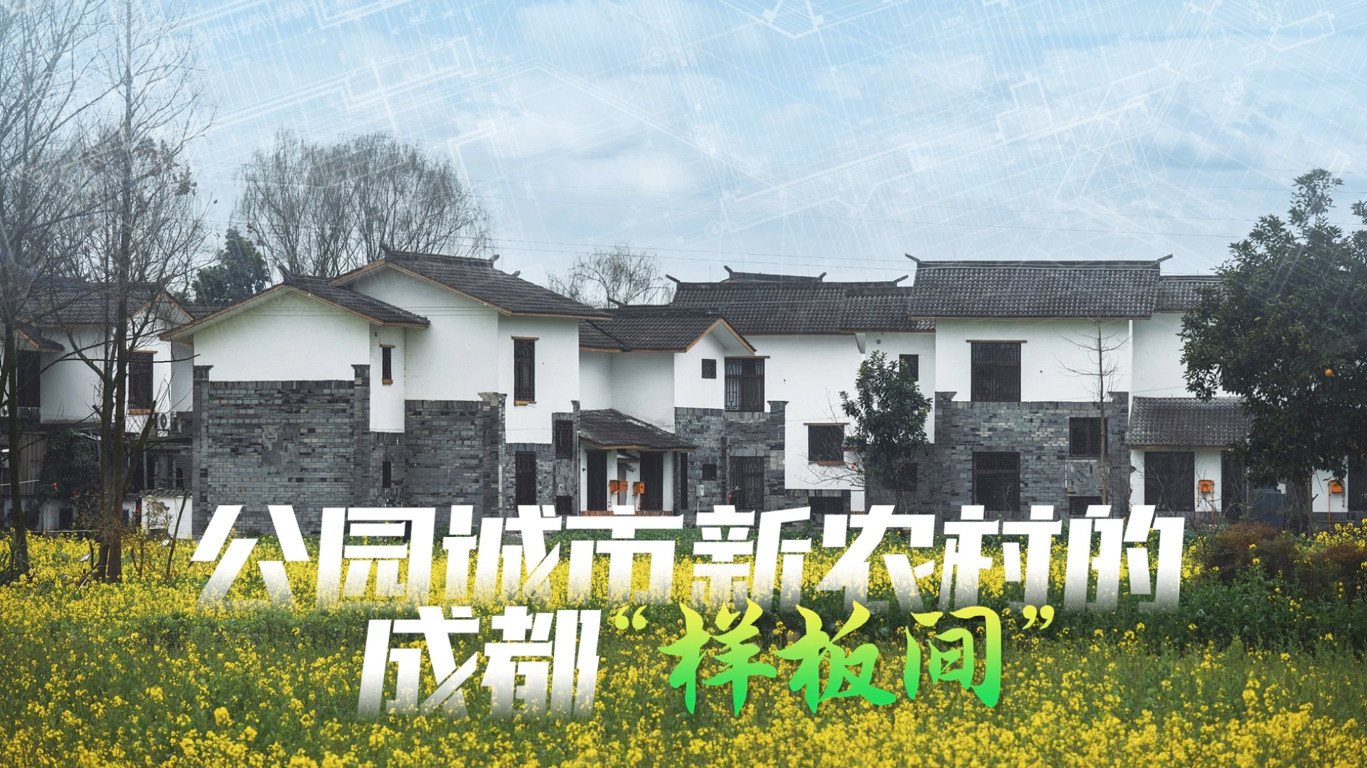 公园城市新农村的成都“样板间”③|  新老村民共建的诗意明月村 有范！