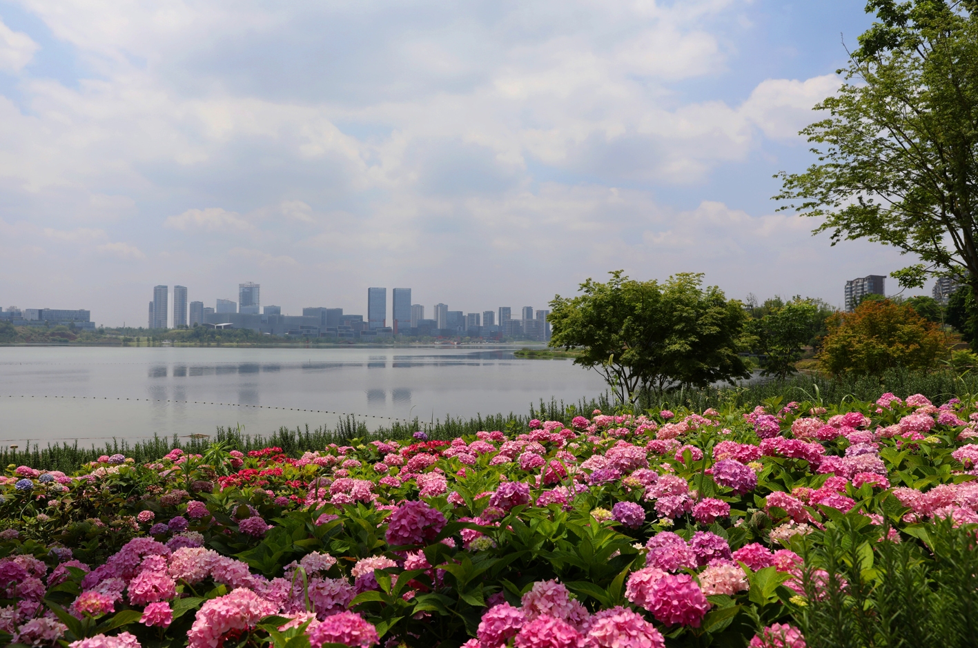 QQ截图20230627175822.png
