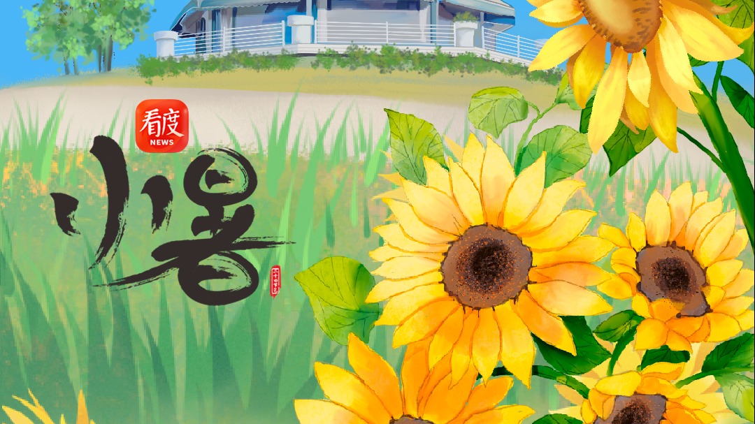 节气成都｜小暑：时逢小暑至，万象正韶华