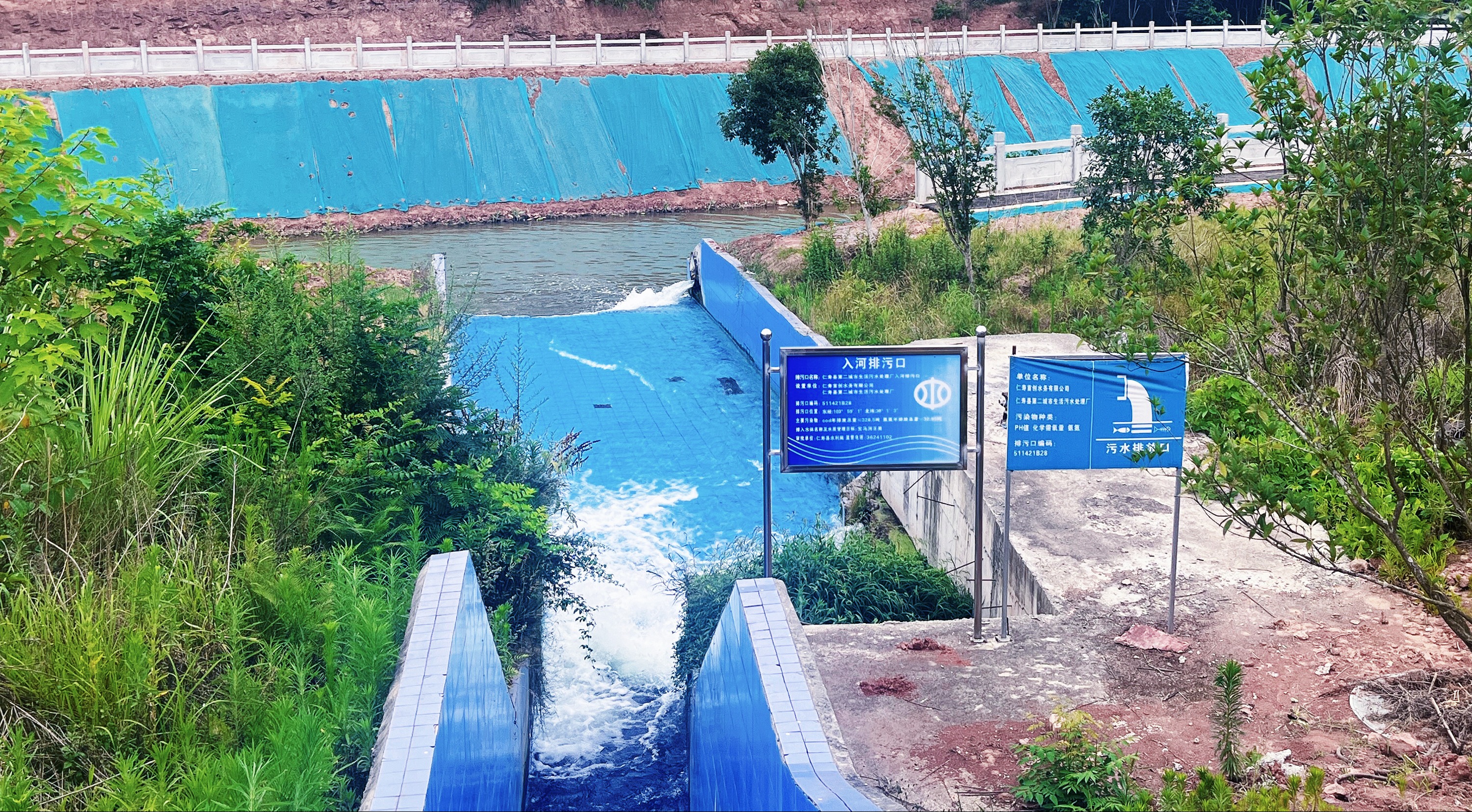 以湿地净水 享绿色福利 眉山球溪河水质连续三年达到Ⅲ类水平 ｜一江清“沱”入画来④