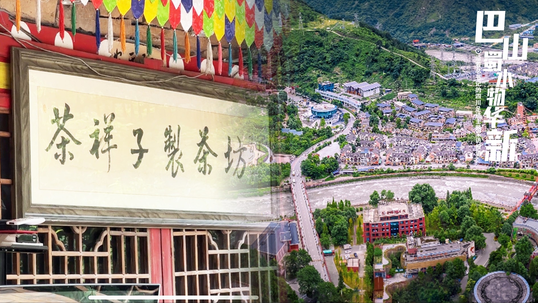 巴山蜀水物华新⑤｜朵朵忍冬花 绽放映秀人民的新生活