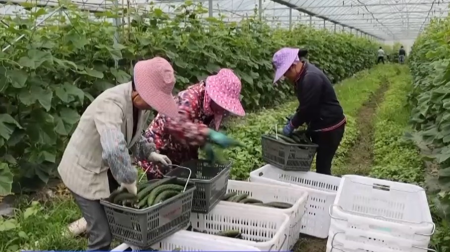 2023进度条过半 “衣食住行”的变化全在这里