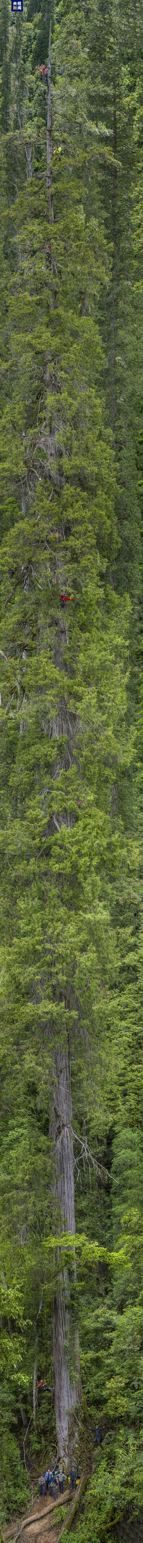 17c183916c3143c6a5d01f84d56c1b05.jpg