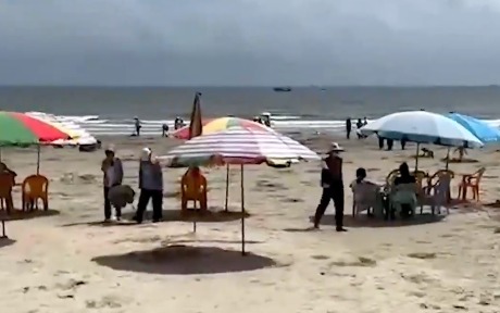 广西北海浴场鱼类伤人，专家：可能是鳗鲡类、鲀类