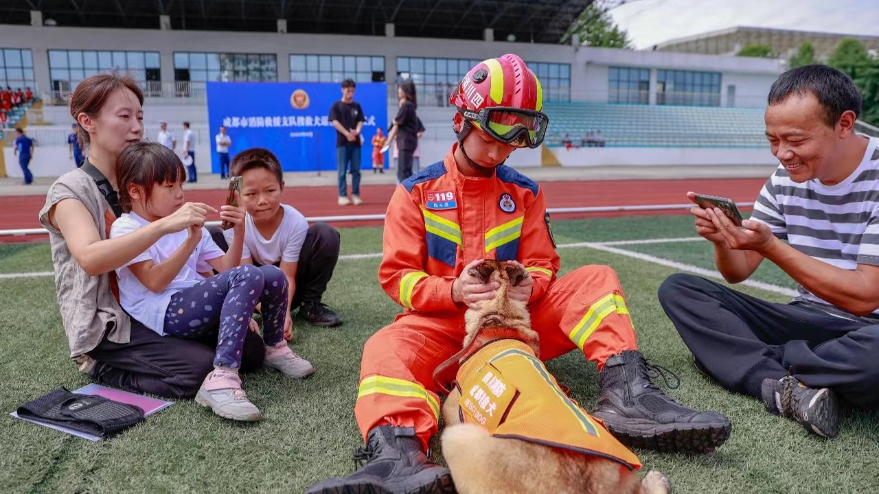 视频 | 开启新生活！成都消防4条搜救犬光荣退役到“新家”