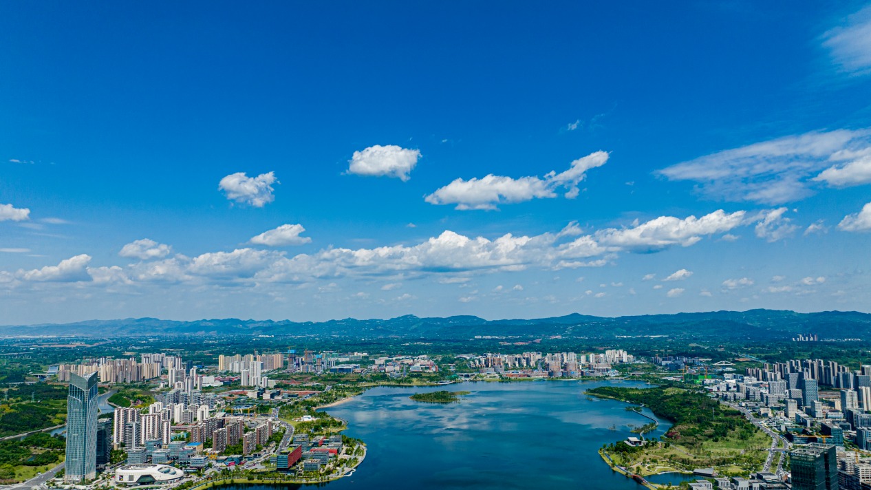 标准化“金钥匙”如何打开城市发展新图景？中国质量大会这场论坛给出答案