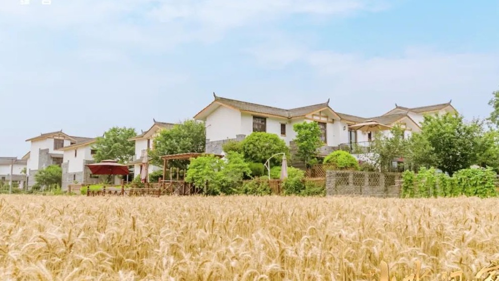 黑土地上锄野豆，天府粮仓迎丰收，《山水间的家》解锁“丰”景“密码”