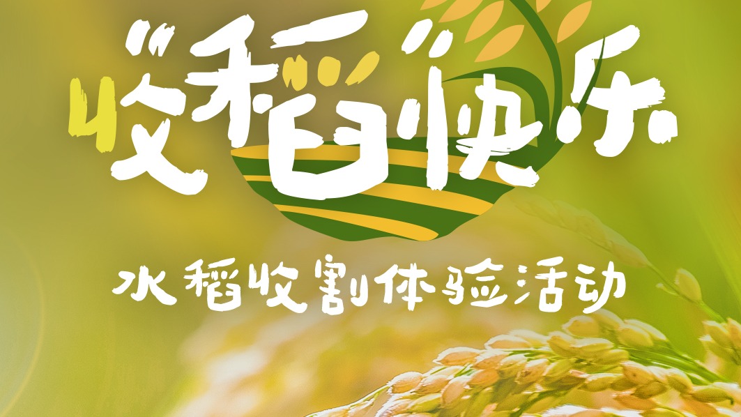 全市征集！免费报名！环城生态区水稻收割体验活动等你来参与