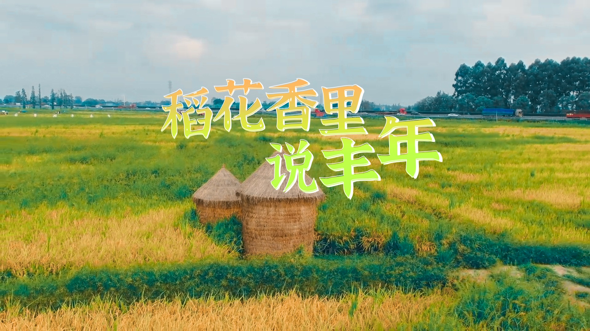 视频｜来成都环城生态区 感受“稻花香里说丰年”
