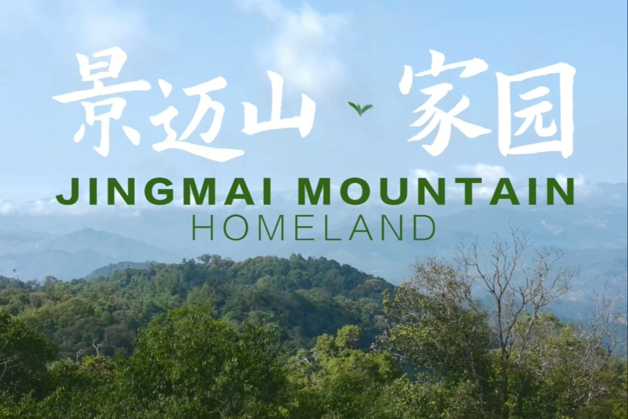 我国再添一处世界遗产！普洱景迈山古茶林文化景观申遗成功