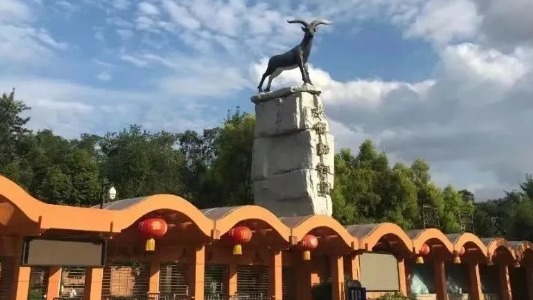 注意！中秋国庆节期间 成都动物园限流