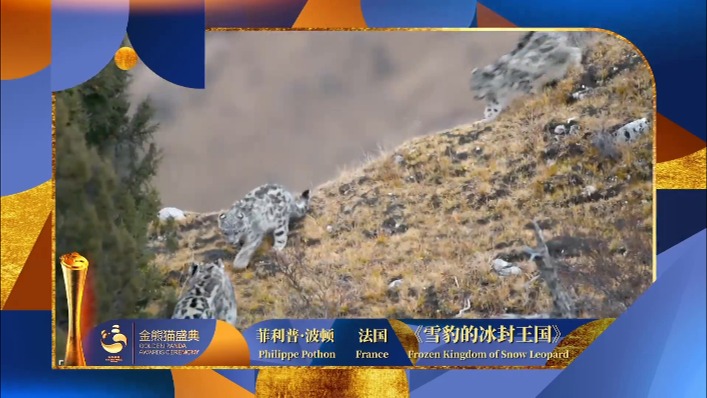 荣耀“金熊猫”｜塞缪尔·图坦、菲利普·波顿获纪录片单元最佳摄影奖