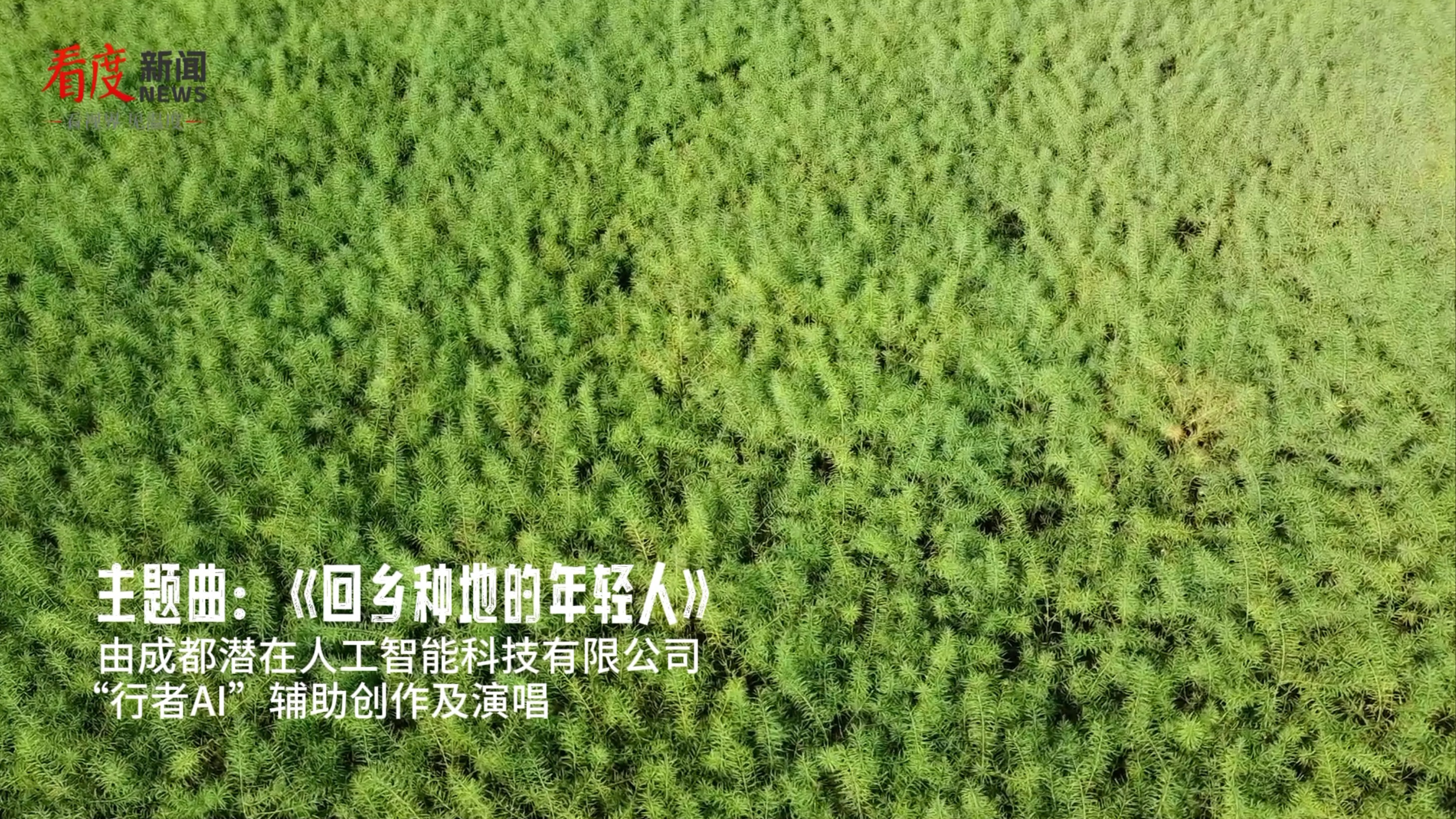 视频丨AI智能原创上线！《回乡种地的年轻人》主题曲抢先听