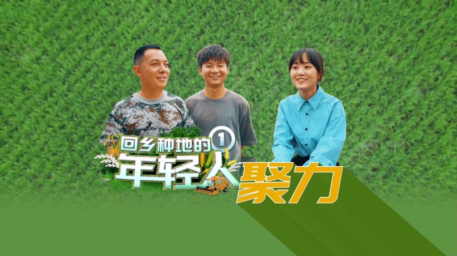 回乡种地的年轻人①｜聚力：粮田守护者