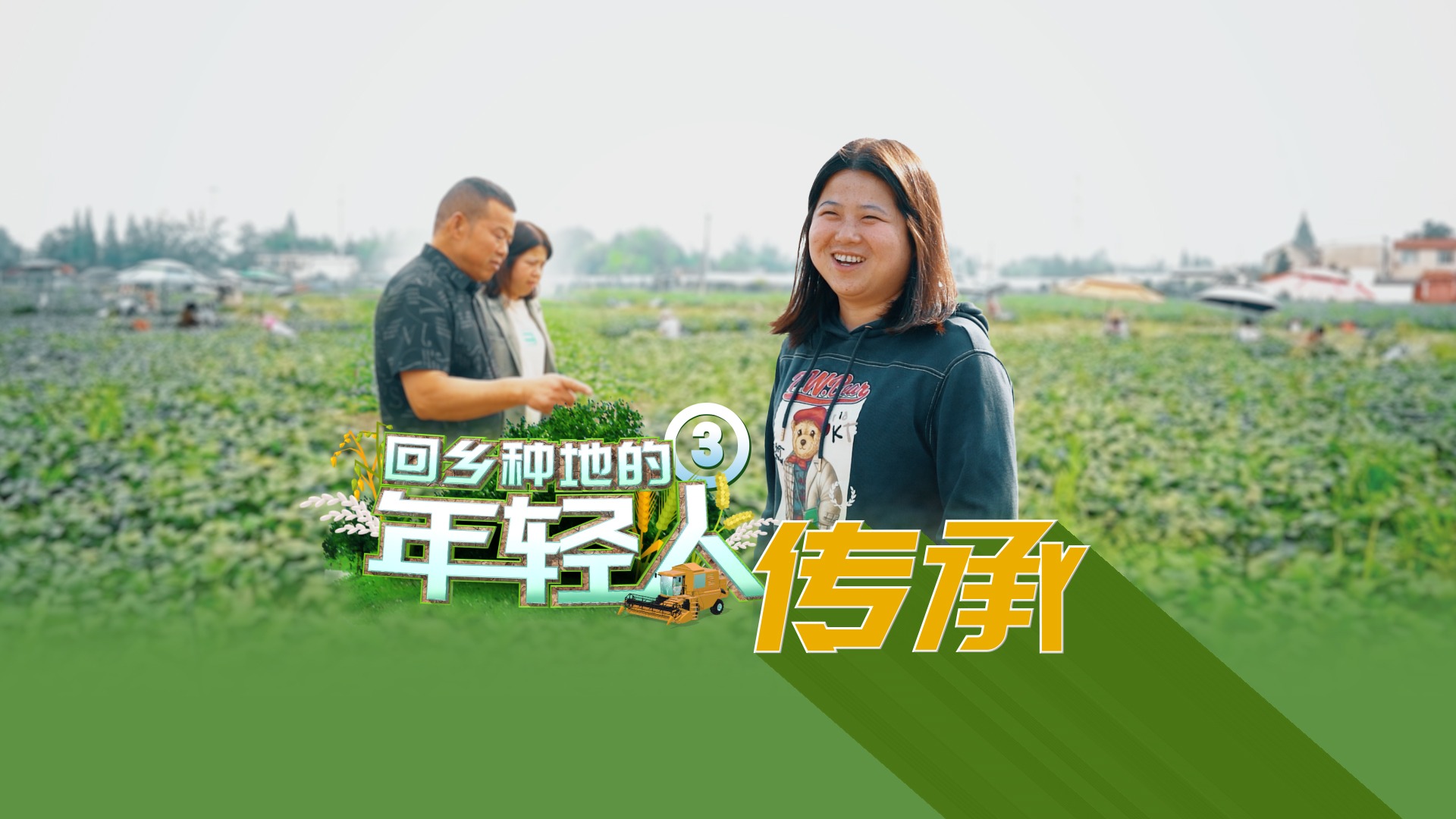 回乡种地的年轻人③｜传承：毛豆成长史