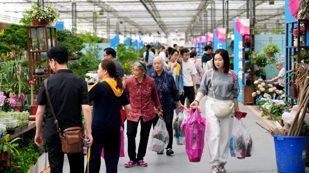 “锦”绣世园会｜入园人次破60万！世园会“满月”郫都交出精彩开篇