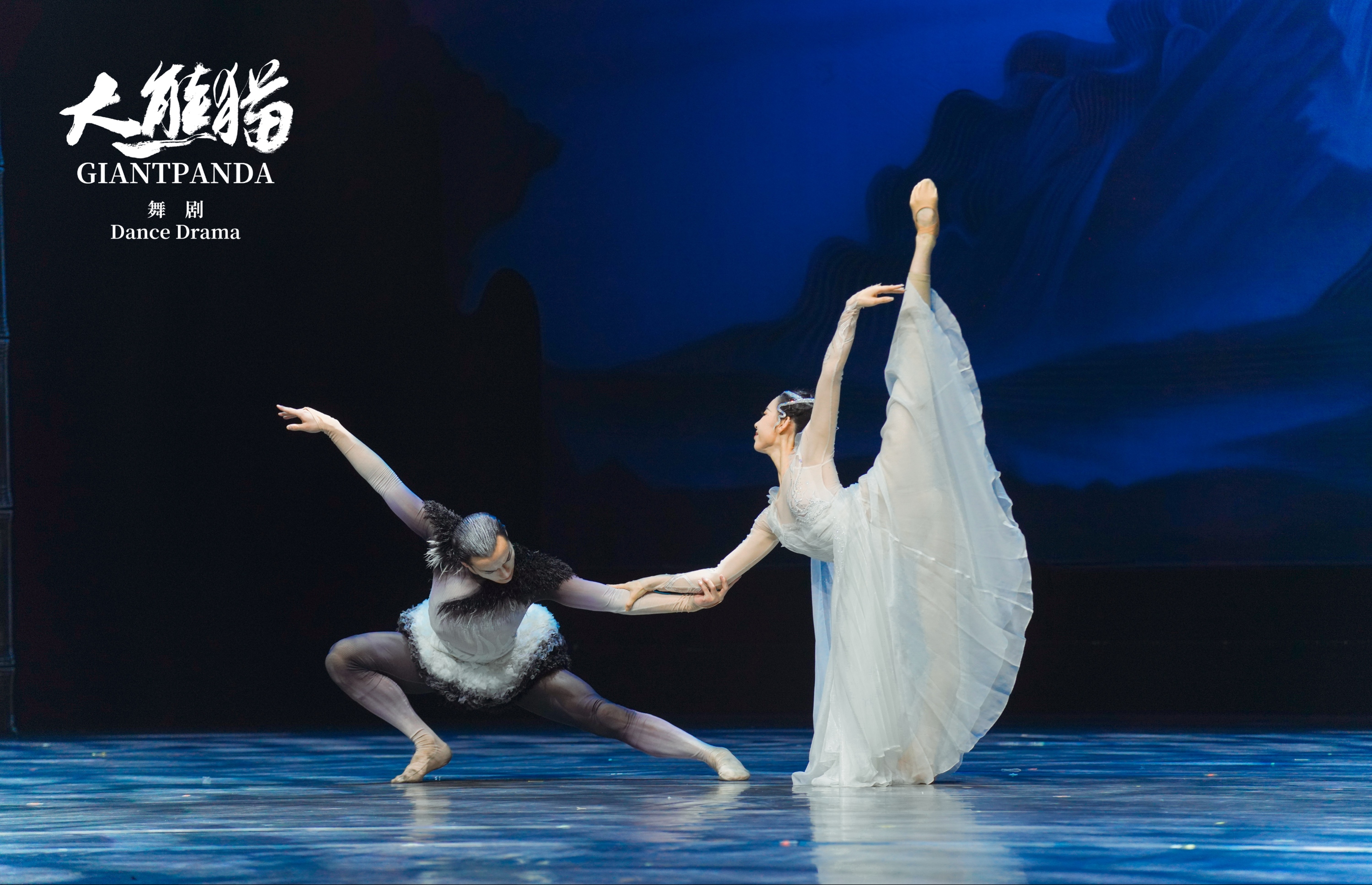 作品展播｜舞蹈获奖作品《大熊猫》