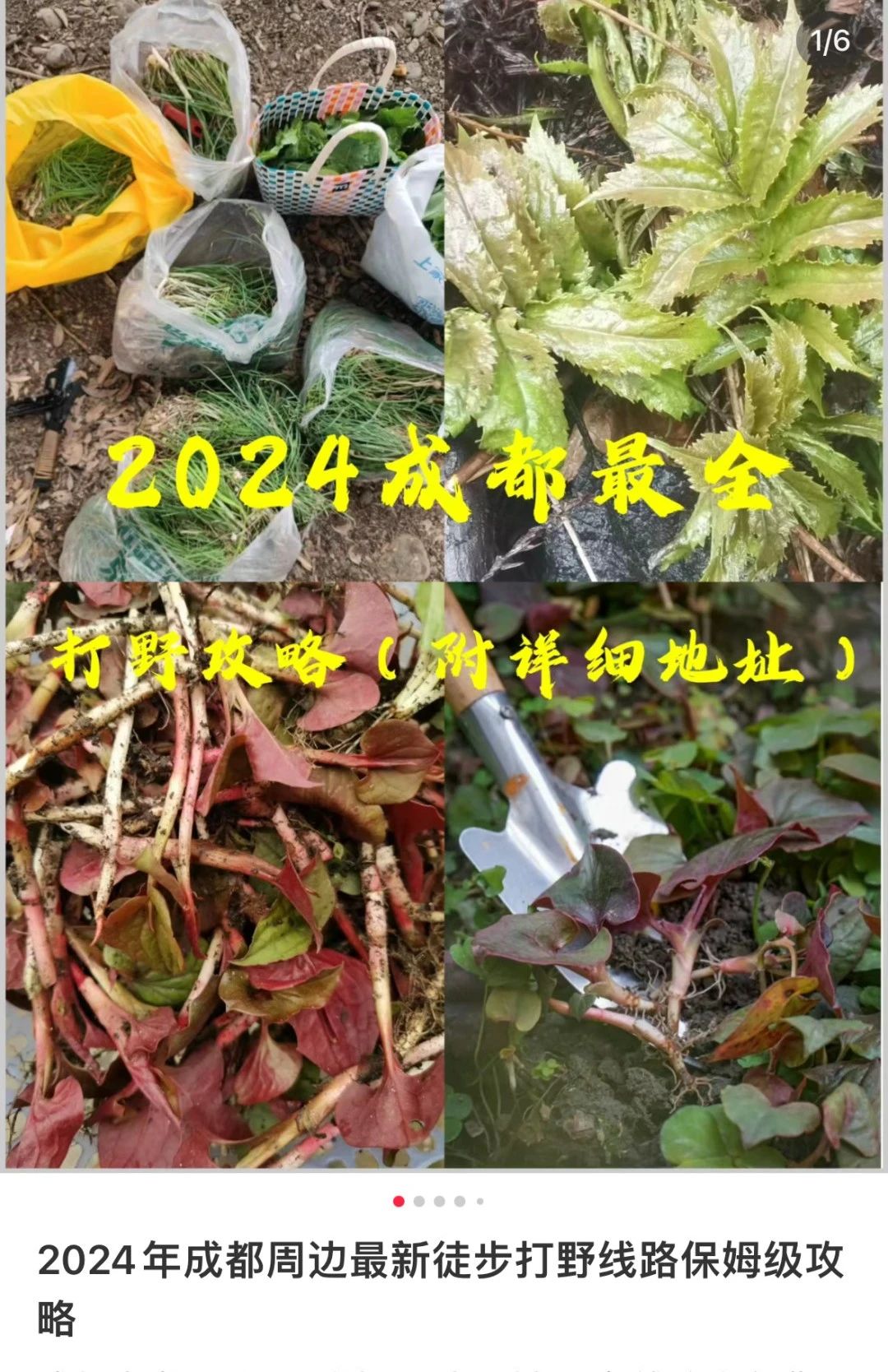 /data/storage/Upload/kd/2024/12/13/f5d56d52-505f-4295-a49a-24060e474097.jpg