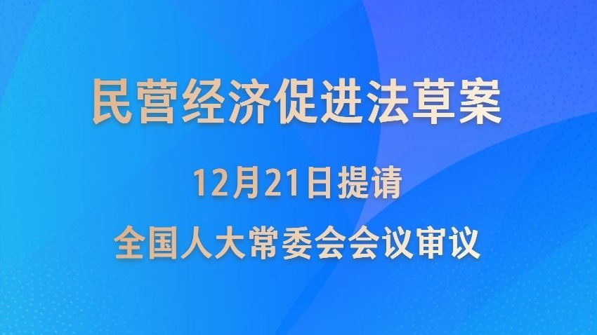 民营经济促进法草案提请全国人大常委会会议审议