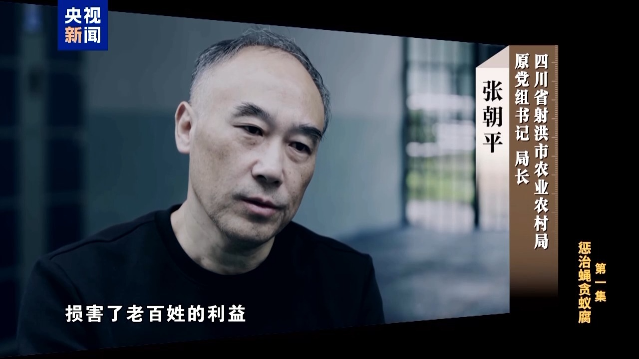 视频丨项目招标到验收全流程“走后门” 面对镜头他忏悔“罪有应得”
