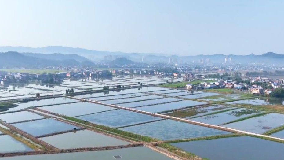 国家发展改革委：“五个一”推动双城经济圈建设丨聚焦国新办发布会成渝“双圈”专场②