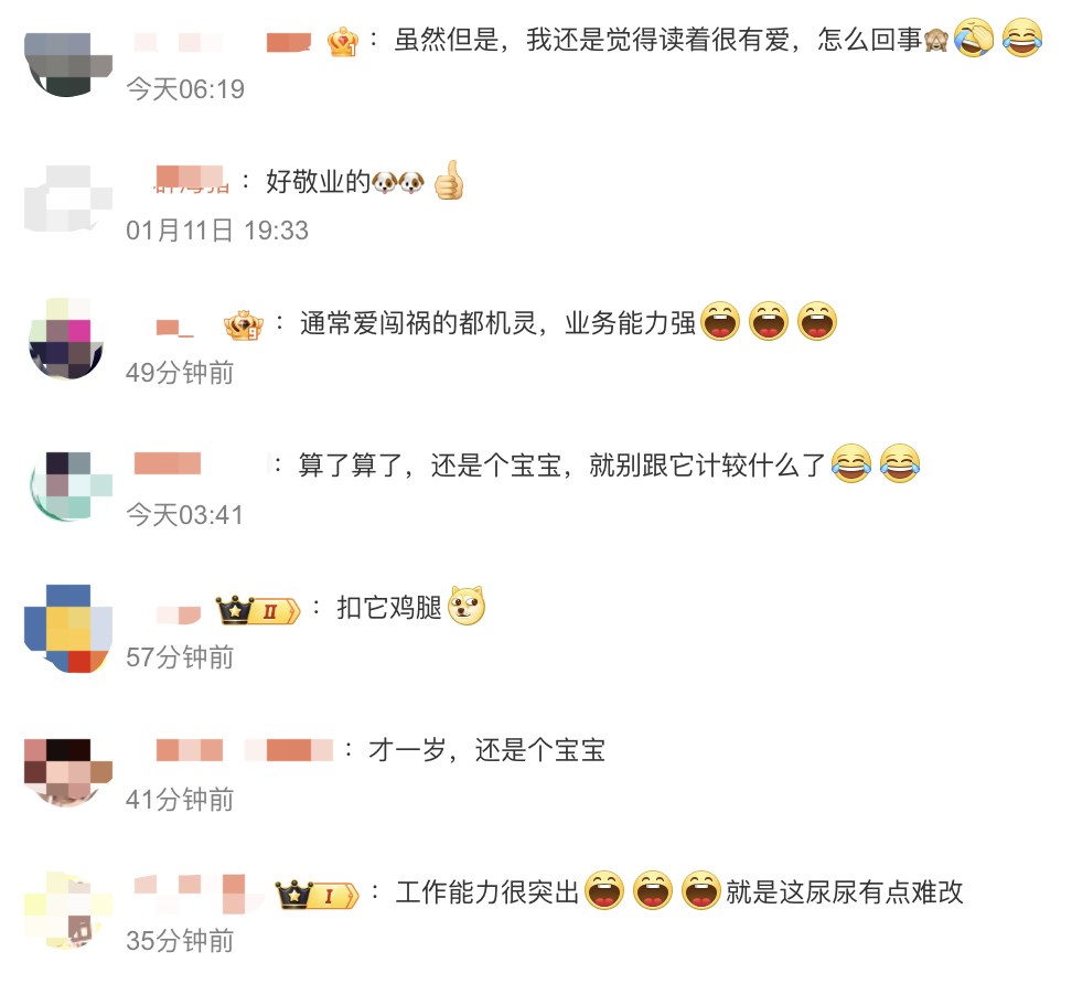 /data/storage/Upload/kd/2025/01/12/b84096ab-d346-4efa-a62b-8218e9812703.png