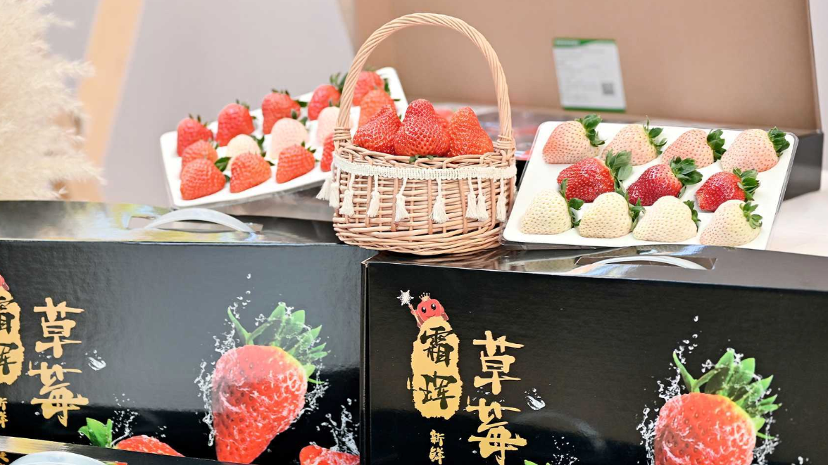 好耍庆新春！成都发布12条“年味满满”的乡村旅游精品路线