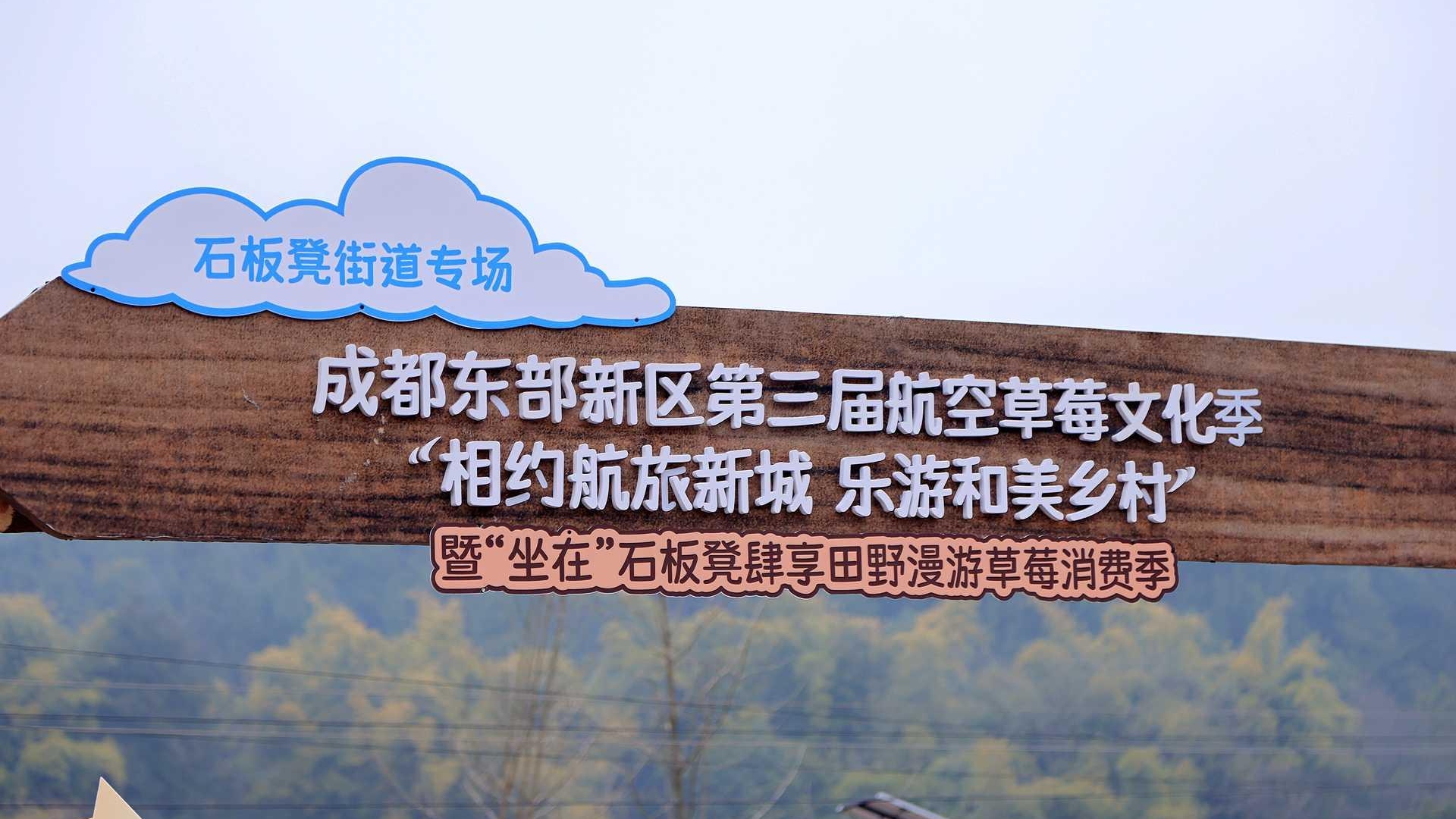 500余场活动陪你过春节！成都东部新区第三届航空草莓文化季来了