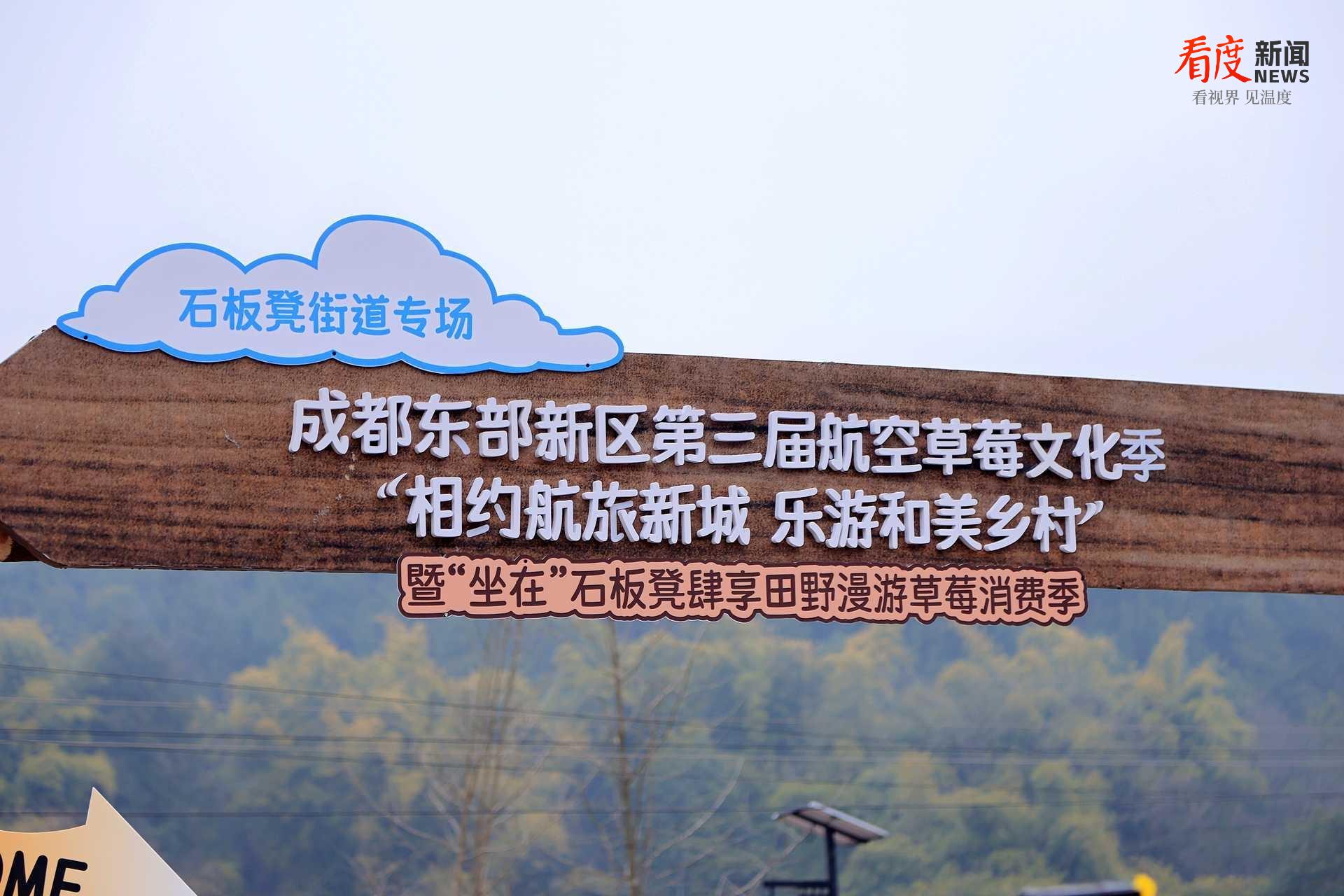 6116e80708ed4a87aba3d1af3253b50f.png