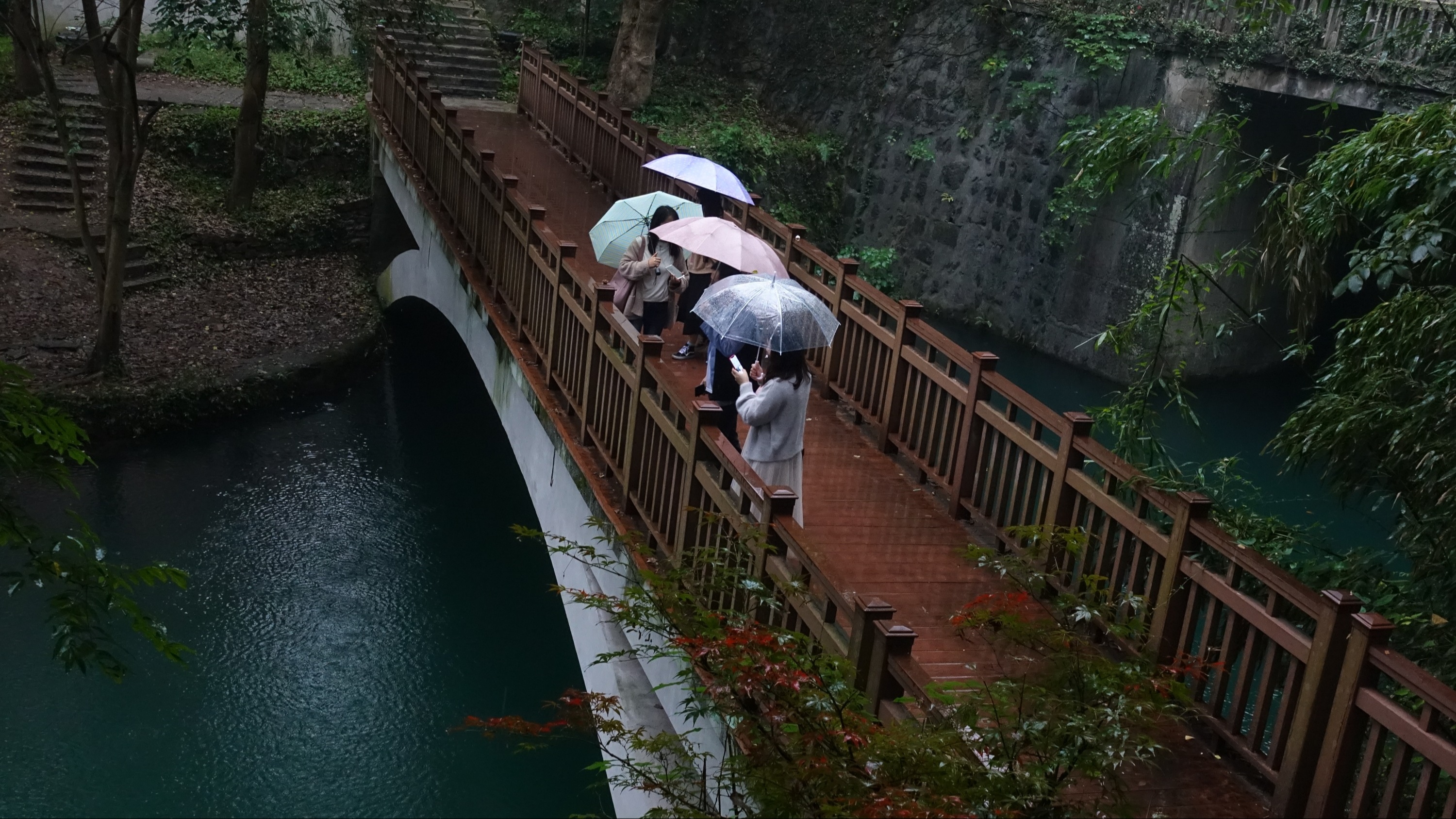 成都发布强降温蓝色预警！气温累计下降5～7℃