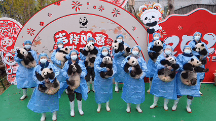 /data/storage/Upload/kd/2025/01/23/6b933ef8-1770-4e74-95a4-c17187149b6a.gif