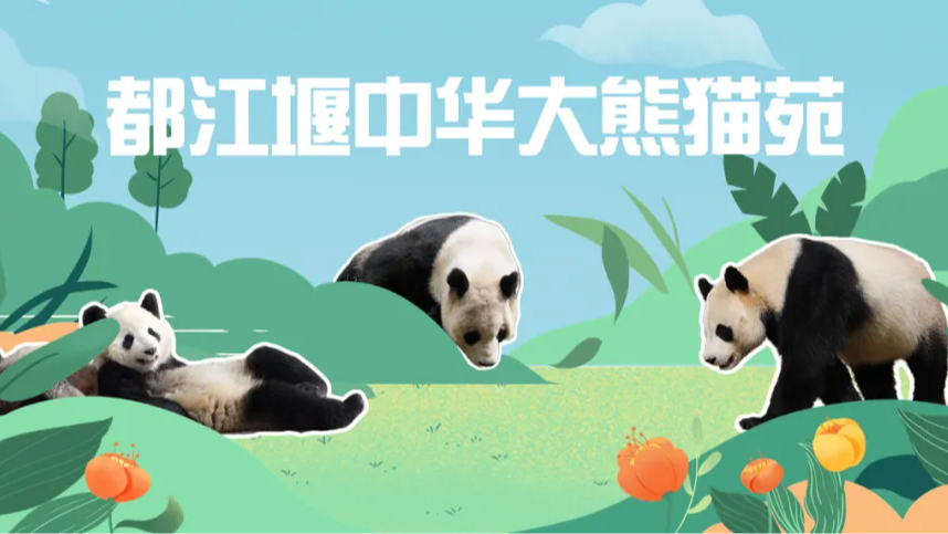 请注意！都江堰中华大熊猫苑春节假期实施限流措施