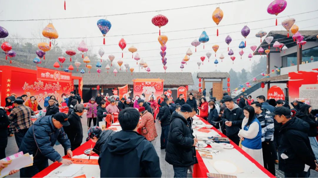 2025成都市“三下乡”启动！新春“大礼包”来了