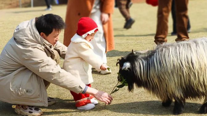 大年初五，成都这些乐园好玩到能待一整天！