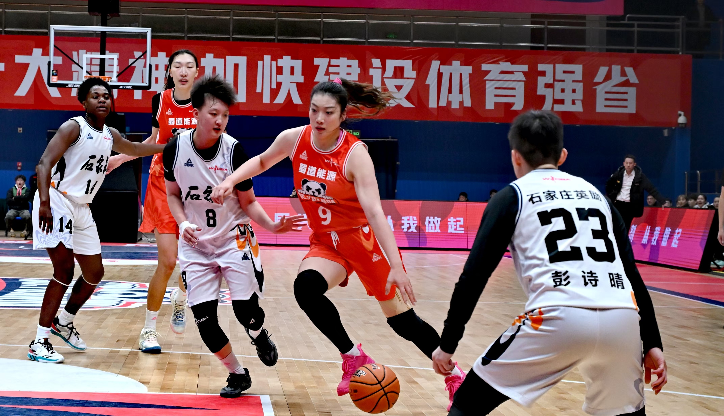 视频｜大胜50分！四川女篮蛇年首场比赛“开门红”