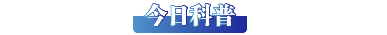 /data/storage/Upload/kd/2025/02/05/fc024599-e4a2-4337-909e-a8fc6fbecee3.png