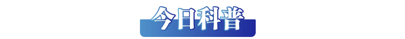 /data/storage/Upload/kd/2025/02/17/e66e94f2-ad84-457a-94b4-ac97ebc3a7cb.png