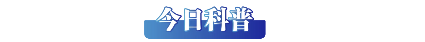 /data/storage/Upload/kd/2025/02/19/3f808146-1f49-4f16-b1a7-9ba785560a60.png