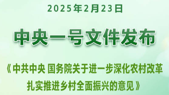 2025年中央一号文件发布