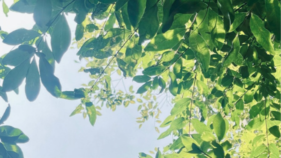 本周我国迎超级大回暖！南方部分地区最高气温或超过25℃
